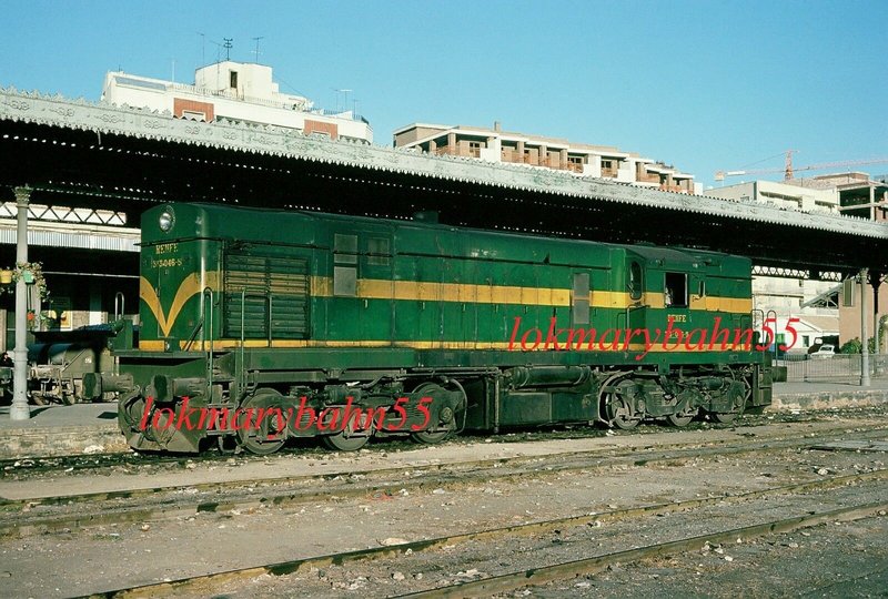 1346.jpg