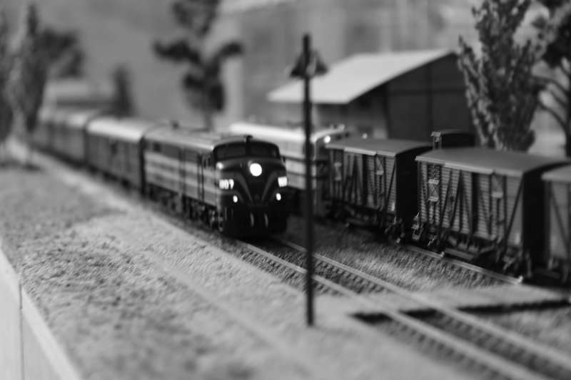 IMG_2480.JPG