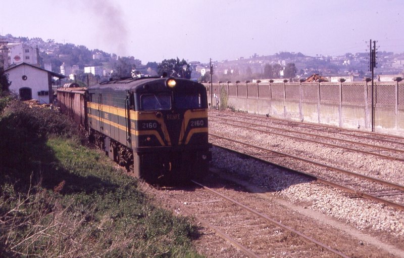 2160.jpg