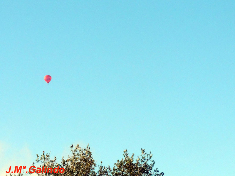 DSCN6208.jpg