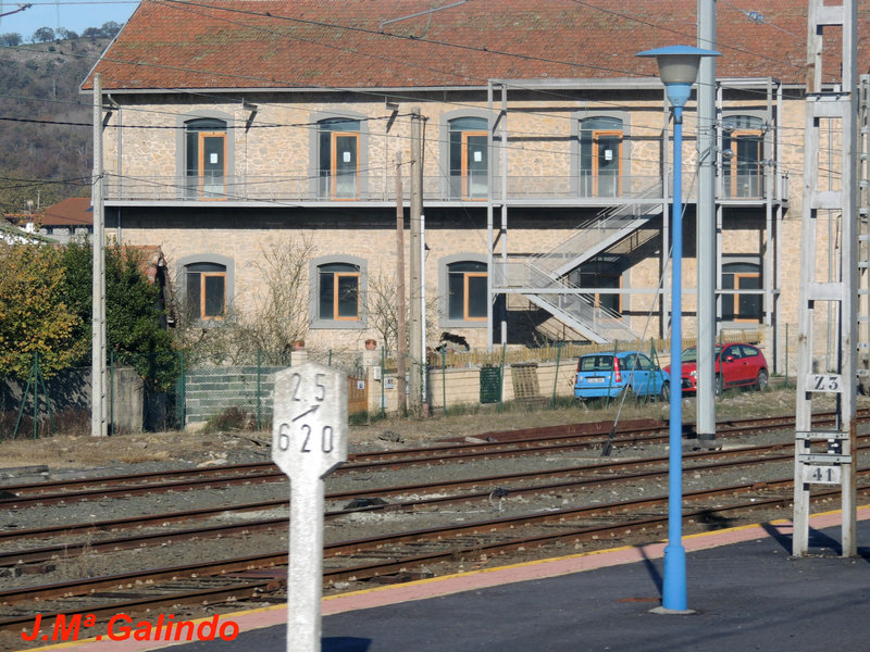 DSCN6217.jpg