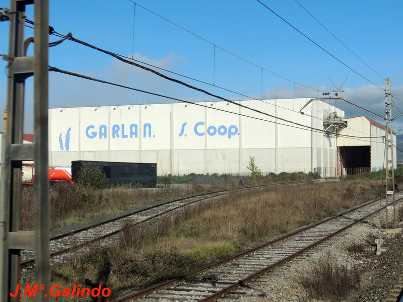 DSCN6231.jpg