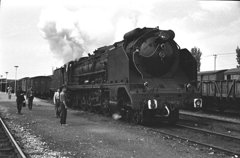 Bonita2251Lleida72w.jpg