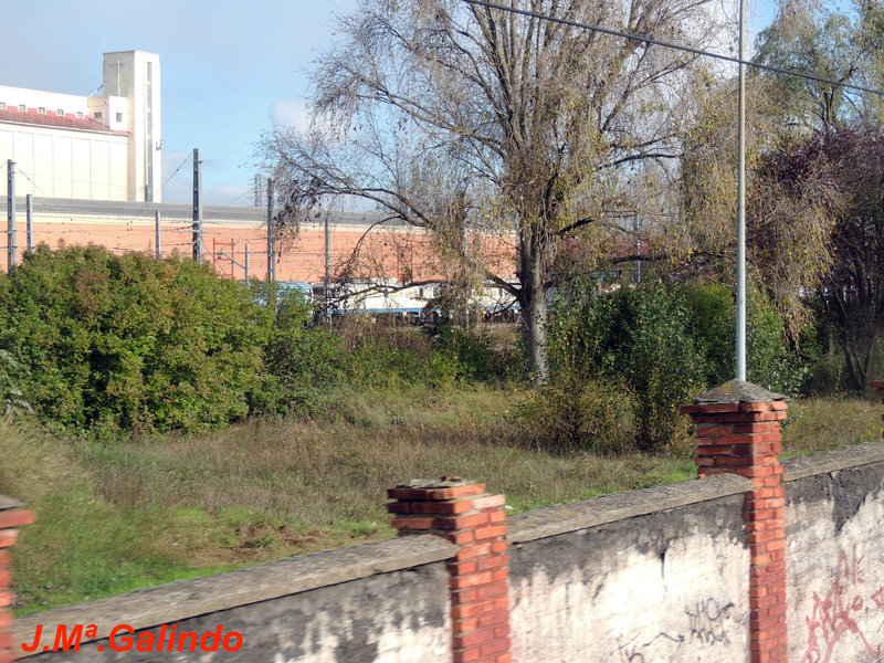 DSCN6246.jpg