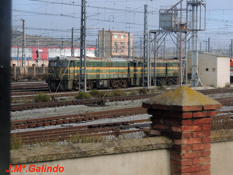 DSCN6254.jpg