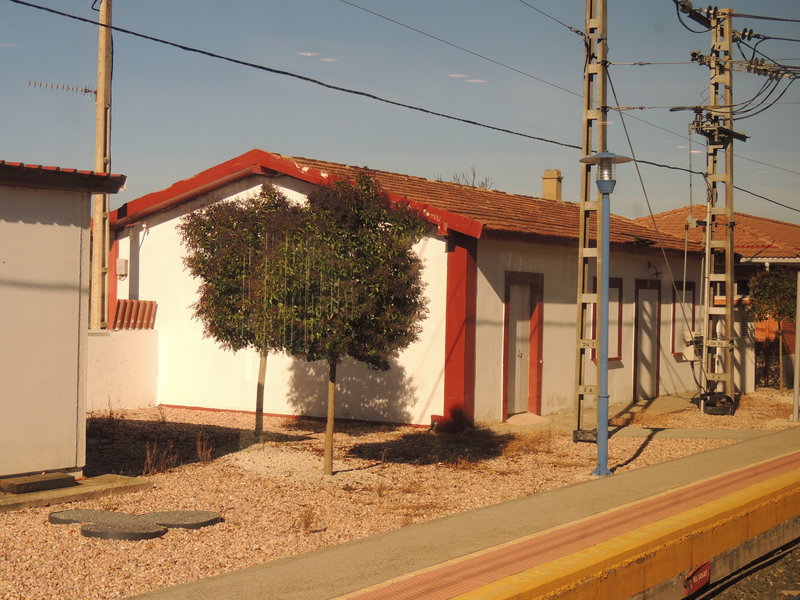 DSCN6312.JPG