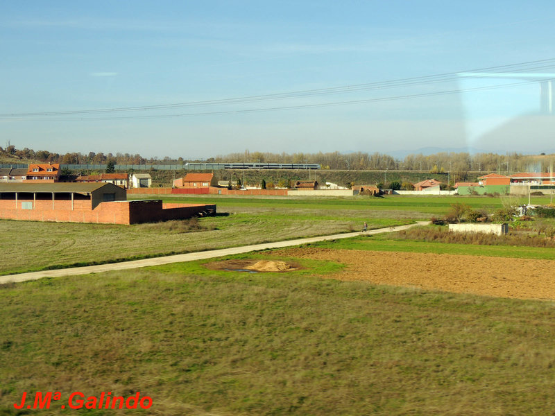 DSCN6374.jpg