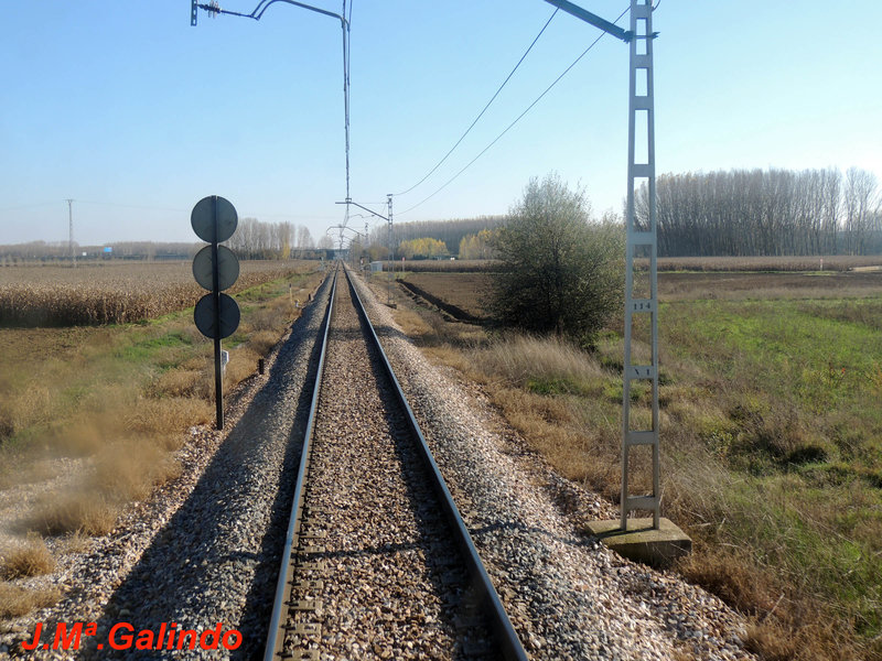 DSCN6377.jpg