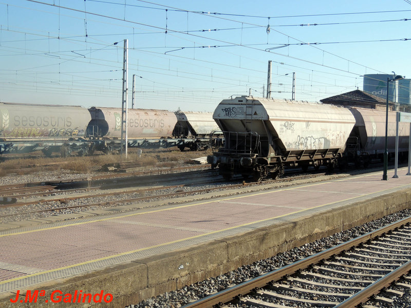 DSCN6387.jpg