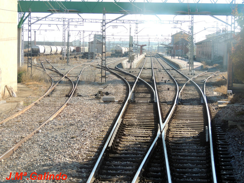 DSCN6390.jpg