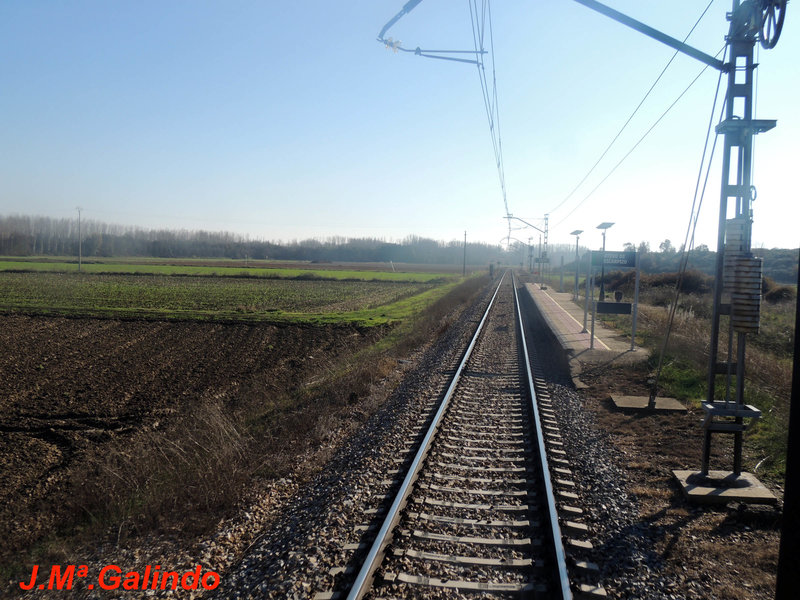 DSCN6391.jpg