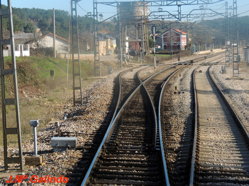 DSCN6403.jpg