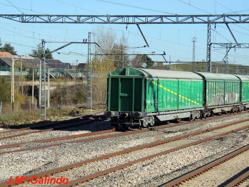 DSCN6411.jpg