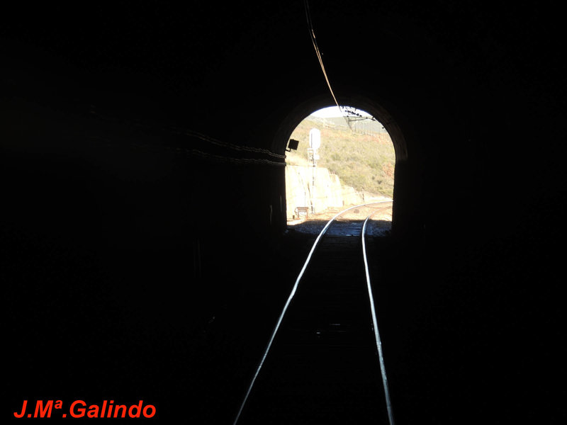 DSCN6414.jpg