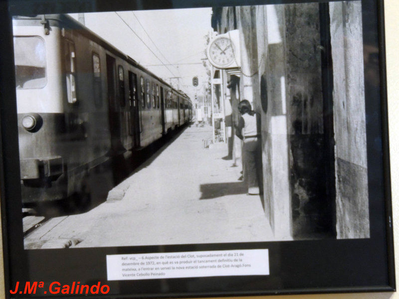 DSCN7142.jpg