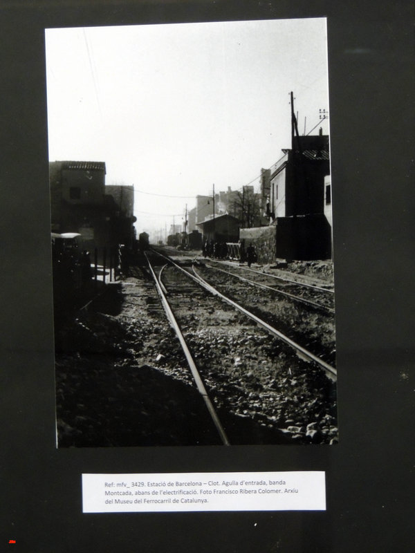 DSCN7145.jpg