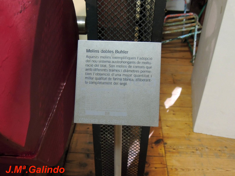 DSCN7168.jpg