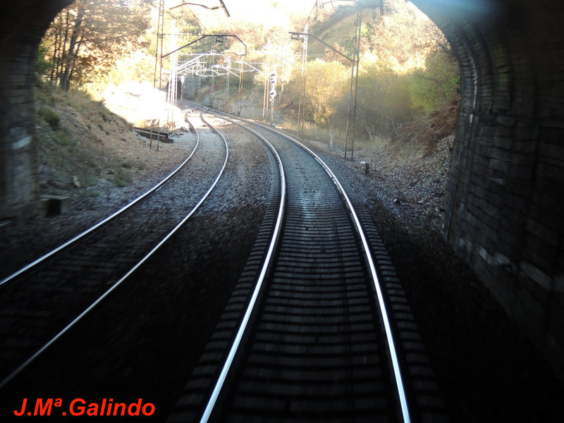 DSCN6419.jpg