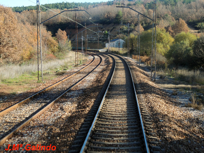 DSCN6421.jpg