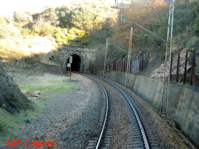 DSCN6433.jpg