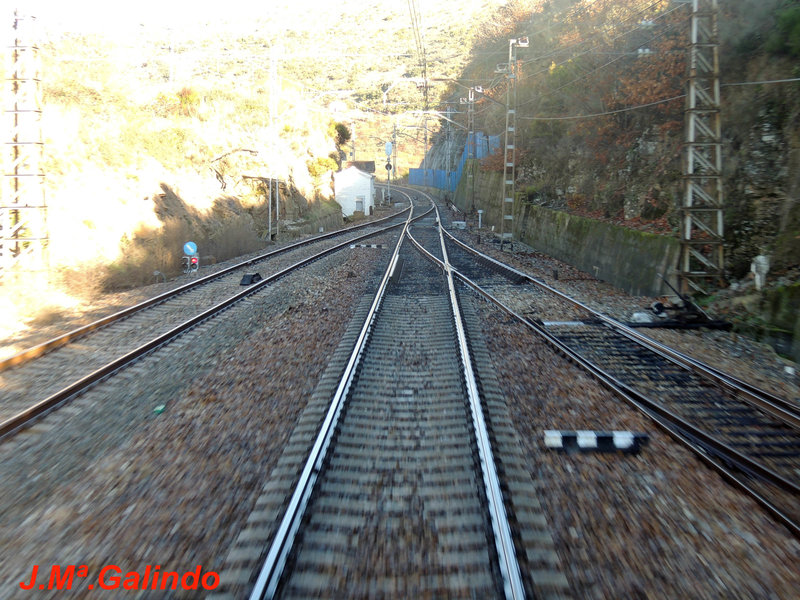 DSCN6435.jpg