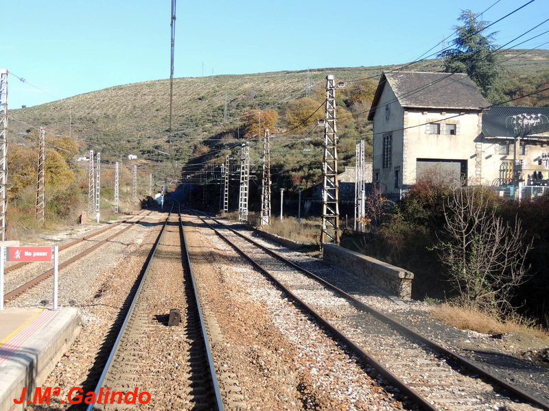 DSCN6437.jpg
