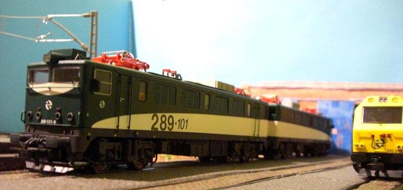 CIMG8183.JPG