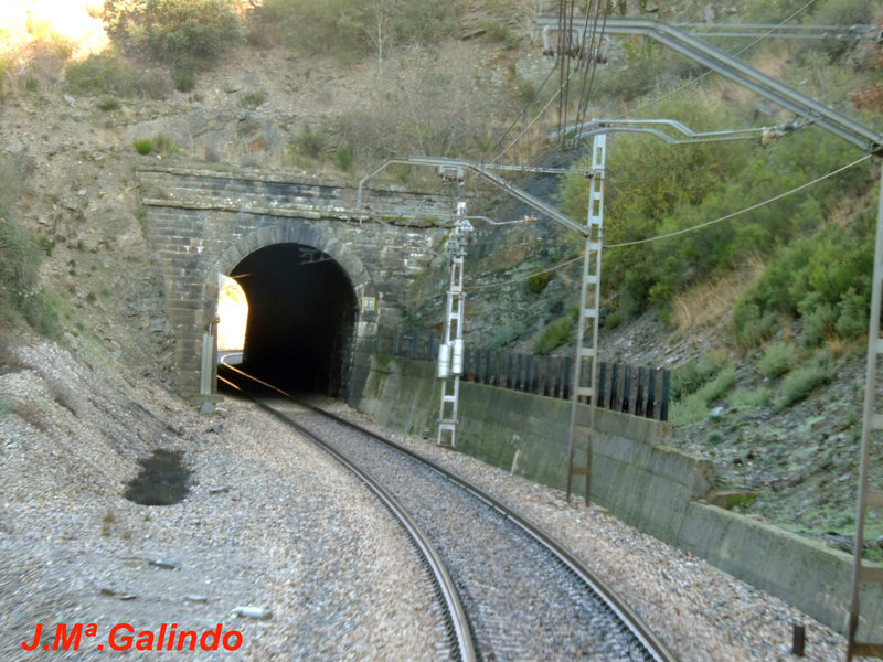 DSCN6463.jpg