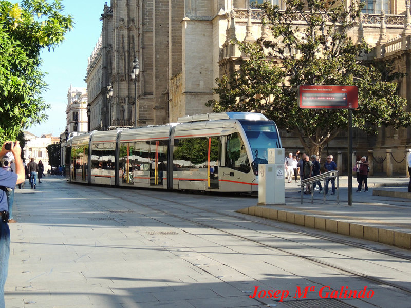 DSCN4544.jpg