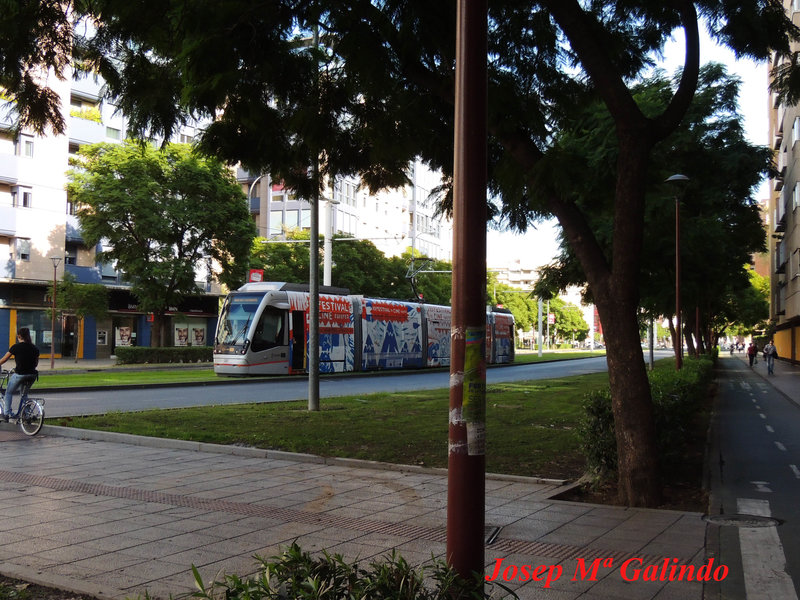 DSCN4768.jpg