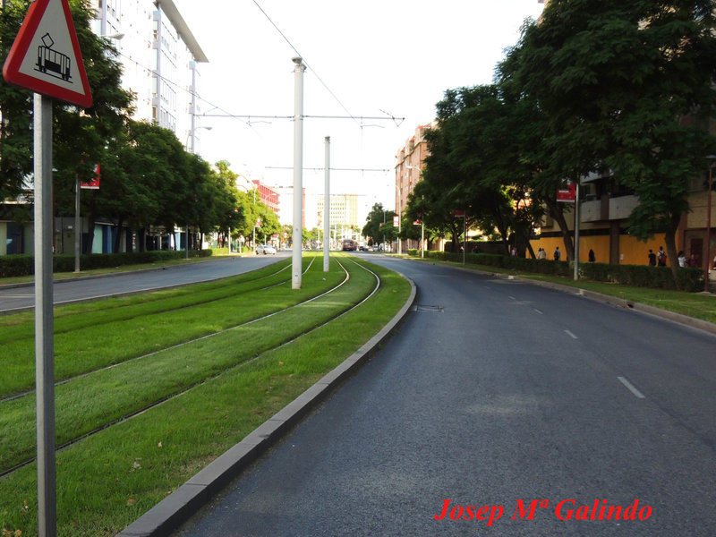 DSCN4769.jpg
