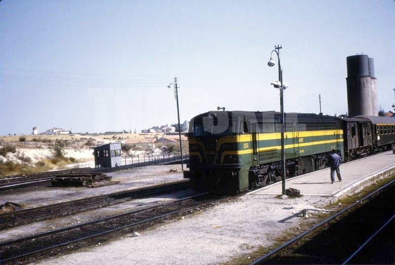 2151.jpg