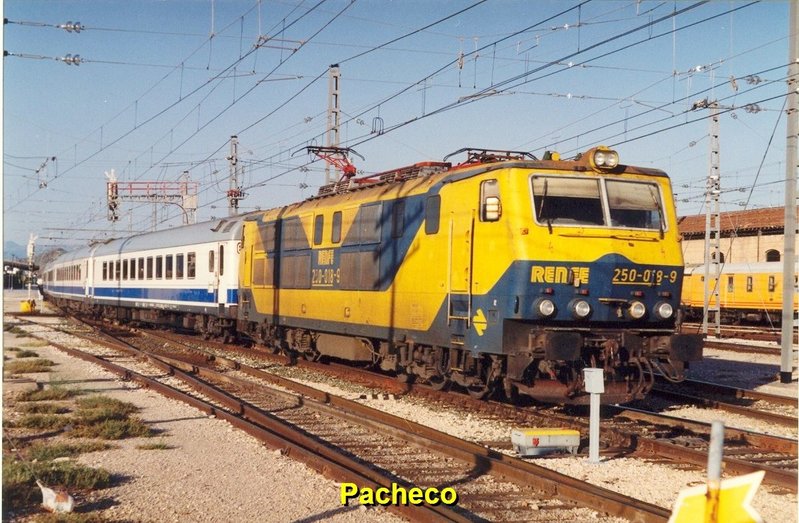 250#.jpg