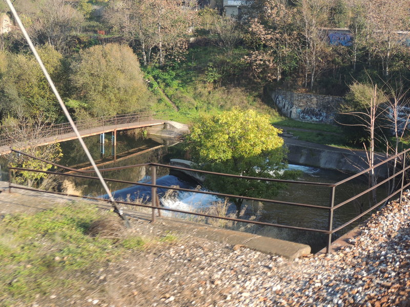 DSCN6494.JPG
