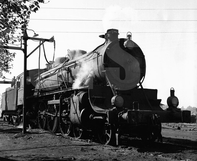 231-2013.sev65.jpg