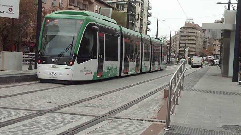 305.jpg