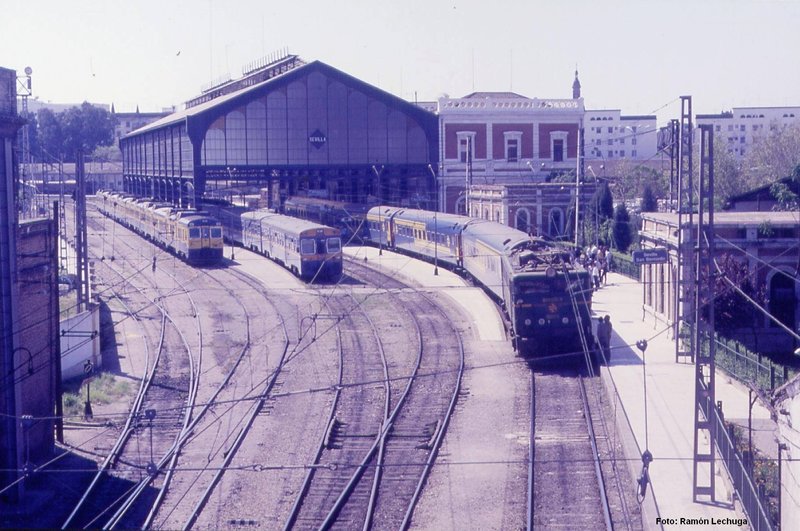 san bernardo1.jpg