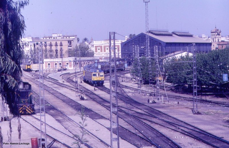 san bernardo2.jpg