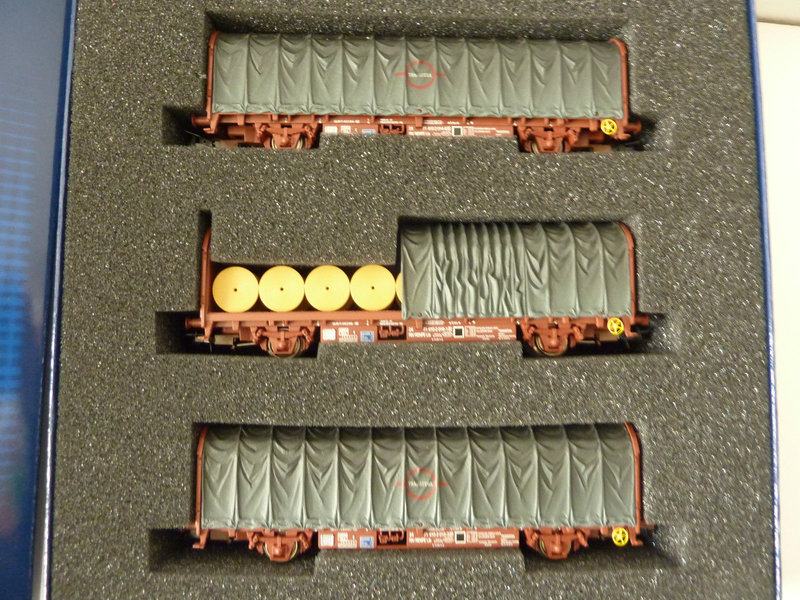 ENTOLDADOS ELECTROTREN.JPG