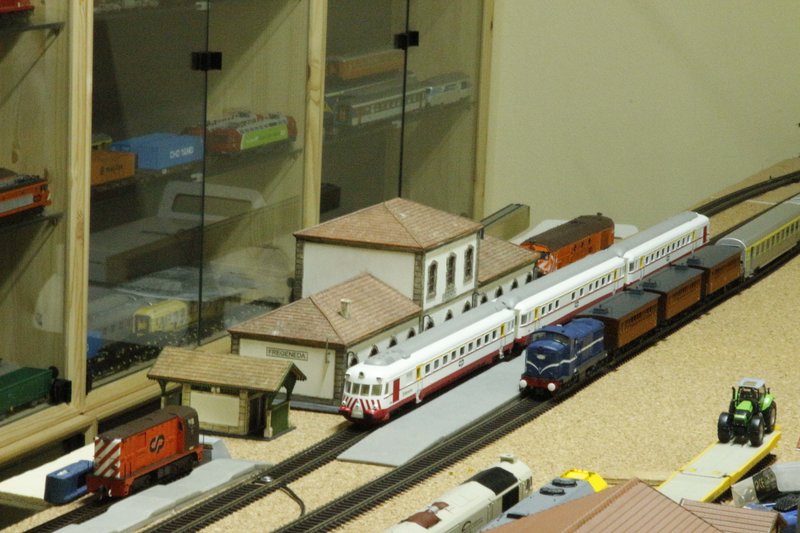 _MG_4219.jpg