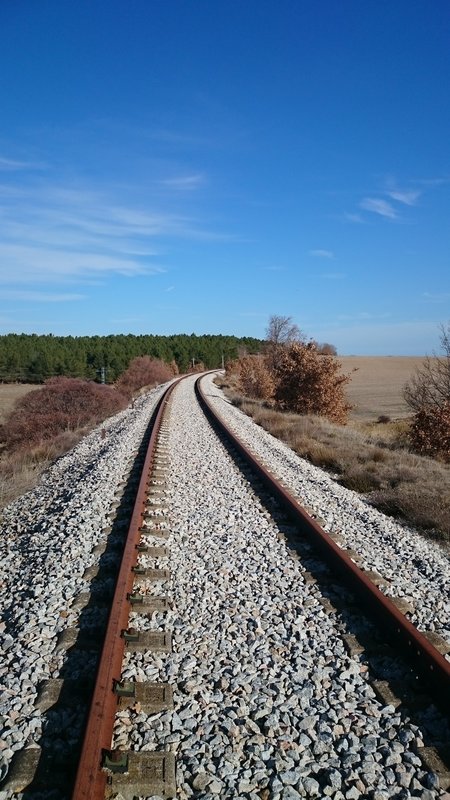 DSC_0783.JPG