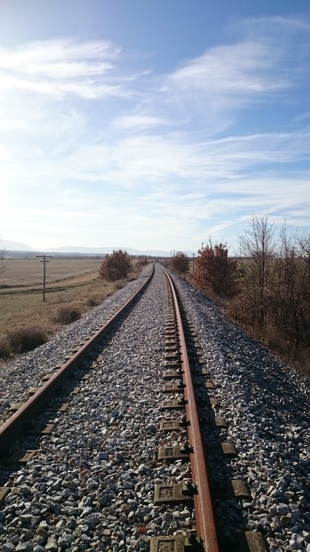 DSC_0784.JPG
