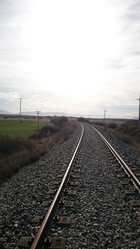 DSC_0798.JPG