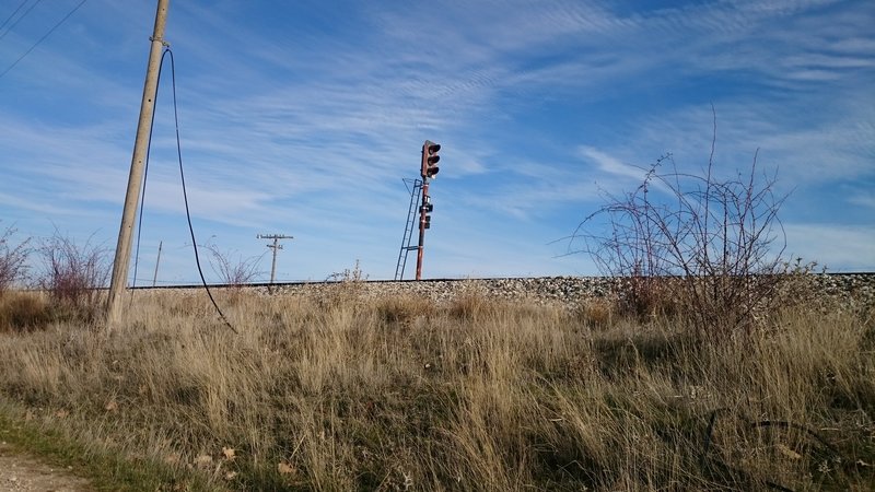 DSC_0812.JPG