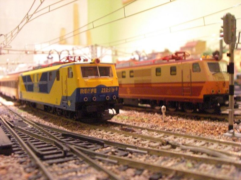 CIMG8198.JPG