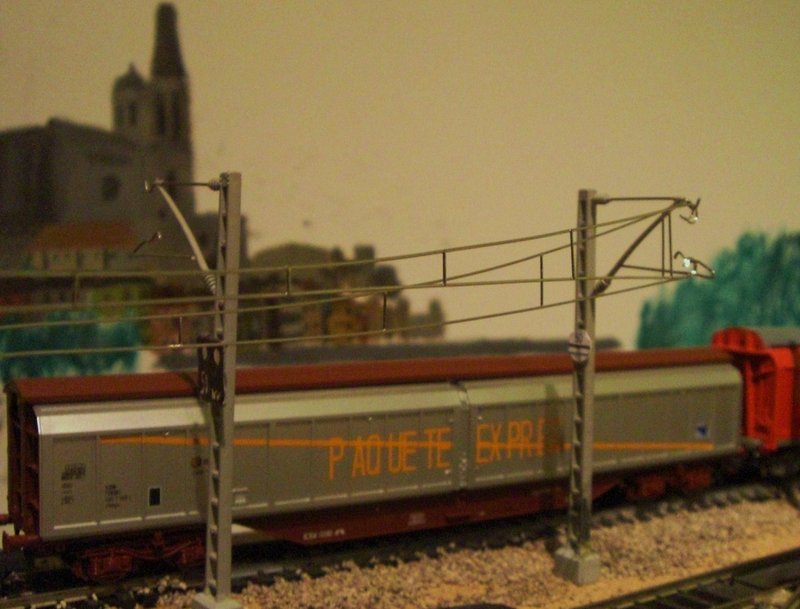 CIMG8205.JPG