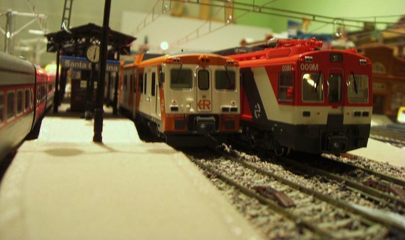 CIMG8207.JPG
