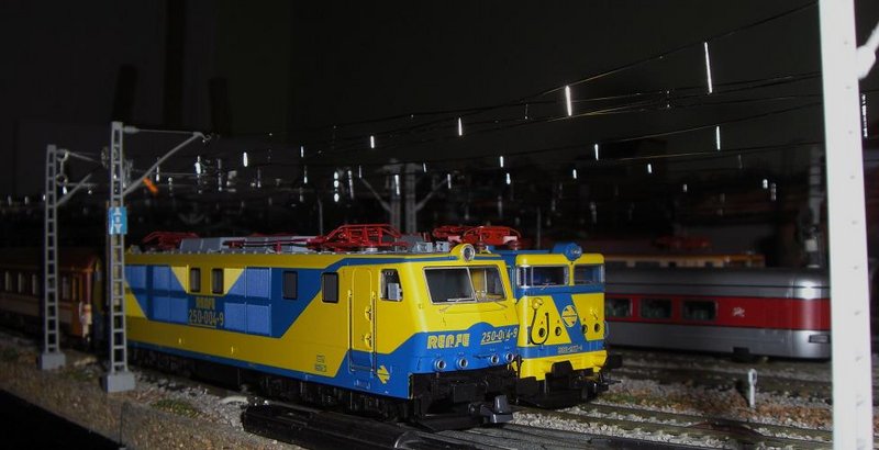 CIMG8203.JPG