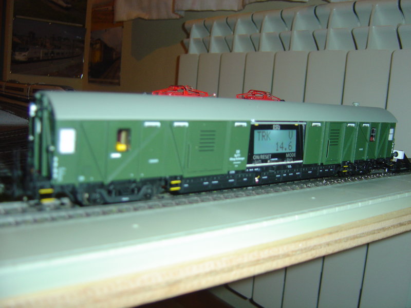 DSC00446.JPG