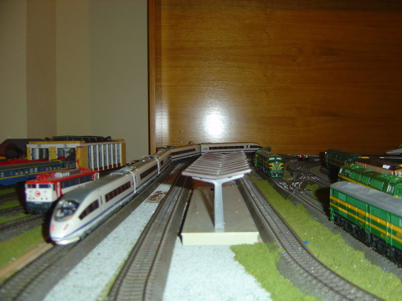 DSC00450.JPG